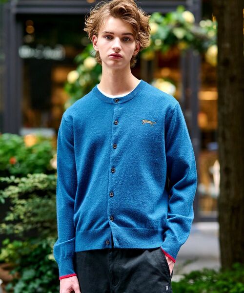 DRESSTERIOR（ドレステリア）の「【Monomax11月号掲載】タイガーエンブロイダリー ラウンドネックカーディガン（カーディガン/ボレロ・メンズ・ベージュ/ブラック/イエロー系その他/グレー/ブルー系その他・92/91/90/94）」の4枚目の写真