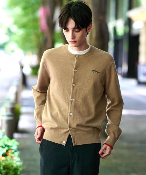 DRESSTERIOR（ドレステリア）の「【Monomax11月号掲載】タイガーエンブロイダリー ラウンドネックカーディガン（カーディガン/ボレロ・メンズ・ベージュ/ブラック/イエロー系その他/グレー/ブルー系その他・92/91/90/94）」の7枚目の写真