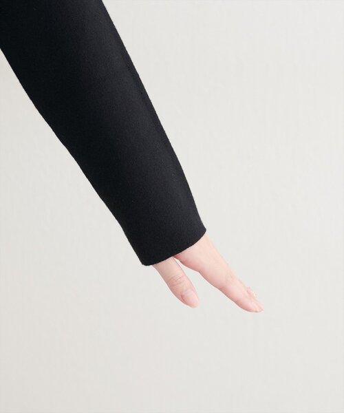 natural couture（ナチュラルクチュール）の「【WEB限定】ゴールド釦Vネックプルオーバー（ニット/セーター・レディース・ブラック/オフホワイト/ブラウン/ネイビー・FREE）」の20枚目の写真