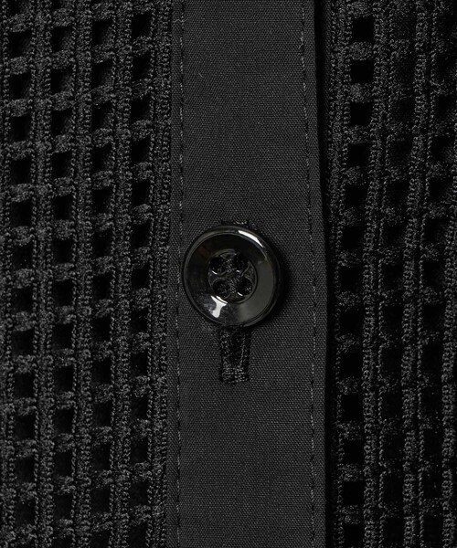 ANAYI（アナイ）の「メッシュラッセルフレア袖 ワンピース（ワンピース・レディース・ブラック・38/36/34）」の14枚目の写真