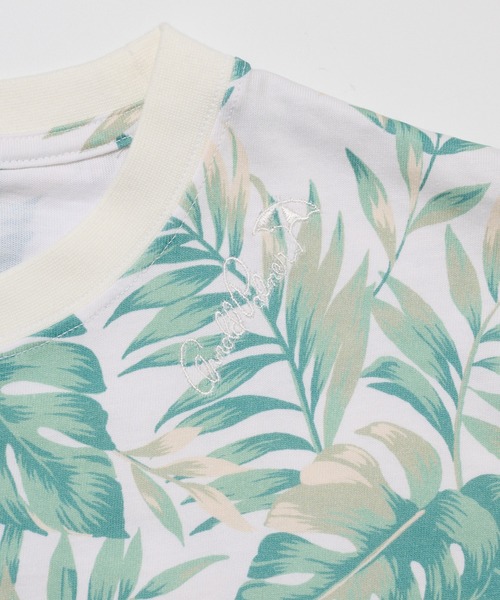 Arnold Palmer(アーノルドパーマー)の「シェア リゾート柄 Tシャツ(Tシャツ/カットソー・レディース・ブラウン系その他/グリーン系その他/ホワイト系その他/ブルー系その他・S/M/L/LL/XS)」の17枚目の写真