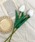 apres jour�i�A�v���W���[���j�́u�yapres jour×ARIAZ�z�Ղ�����`���[���b�v�i���̑��G�݁j�v�b�z���C�g