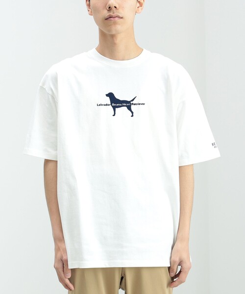 Labrador Retriever（ラブラドールリトリーバー）の「BEAMS HEART / Labrador Retriever シルエット Tシャツ（Tシャツ/カットソー・メンズ・ホワイト/ネイビー・MEDIUM/LARGE/SMALL）」の17枚目の写真