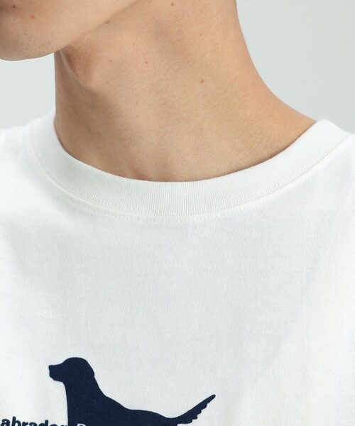 Labrador Retriever（ラブラドールリトリーバー）の「BEAMS HEART / Labrador Retriever シルエット Tシャツ（Tシャツ/カットソー・メンズ・ホワイト/ネイビー・MEDIUM/LARGE/SMALL）」の5枚目の写真