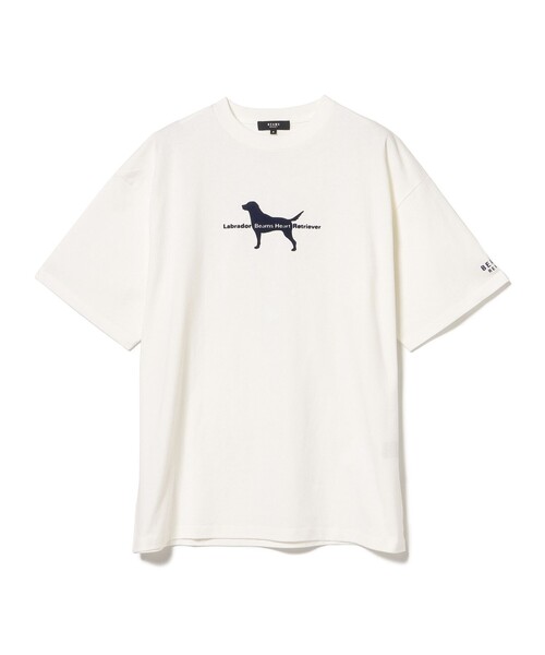 Labrador Retriever（ラブラドールリトリーバー）の「BEAMS HEART / Labrador Retriever シルエット Tシャツ（Tシャツ/カットソー・メンズ・ホワイト/ネイビー・MEDIUM/LARGE/SMALL）」の7枚目の写真