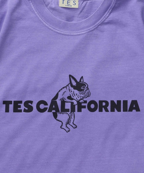 The Endless Summer(エンドレスサマー)の「【WEB / FLAG SHOP限定】TES CALIFORNIA PIGMENT DYE T-SHIRT /ピグメント・半袖T(Tシャツ/カットソー・メンズ・アイボリー/カーキ/スカイブルー/グレー/ブルー/グリーン/オレンジ/マスタード/パープル・SMALL/MEDIUM/LARGE/X-LARGE)」の7枚目の写真
