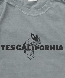 【WEB / FLAG SHOP限定】TES CALIFORNIA PIGMENT DYE T-SHIRT /ピグメント・半袖T