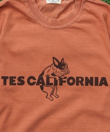 The Endless Summer（エンドレスサマー）の「【WEB / FLAG SHOP限定】TES CALIFORNIA PIGMENT DYE T-SHIRT /ピグメント・半袖T（Tシャツ/カットソー）」