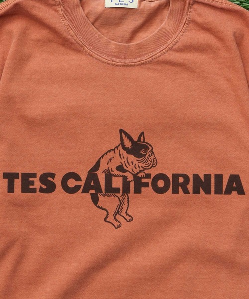 The Endless Summer(エンドレスサマー)の「【WEB / FLAG SHOP限定】TES CALIFORNIA PIGMENT DYE T-SHIRT /ピグメント・半袖T(Tシャツ/カットソー・メンズ・アイボリー/カーキ/スカイブルー/グレー/ブルー/グリーン/オレンジ/マスタード/パープル・SMALL/MEDIUM/LARGE/X-LARGE)」の9枚目の写真