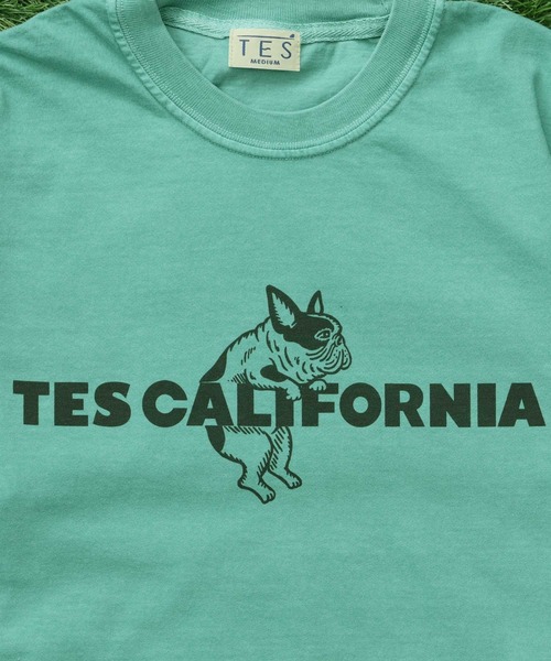 The Endless Summer(エンドレスサマー)の「【WEB / FLAG SHOP限定】TES CALIFORNIA PIGMENT DYE T-SHIRT /ピグメント・半袖T(Tシャツ/カットソー・メンズ・アイボリー/カーキ/スカイブルー/グレー/ブルー/グリーン/オレンジ/マスタード/パープル・SMALL/MEDIUM/LARGE/X-LARGE)」の5枚目の写真
