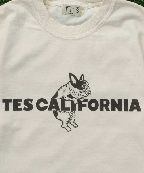 The Endless Summer(エンドレスサマー)の「【WEB / FLAG SHOP限定】TES CALIFORNIA PIGMENT DYE T-SHIRT /ピグメント・半袖T(Tシャツ/カットソー・メンズ・アイボリー/カーキ/スカイブルー/グレー/ブルー/グリーン/オレンジ/マスタード/パープル・SMALL/MEDIUM/LARGE/X-LARGE)」の2枚目の写真