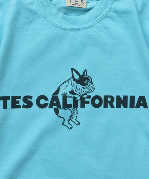 The Endless Summer(エンドレスサマー)の「【WEB / FLAG SHOP限定】TES CALIFORNIA PIGMENT DYE T-SHIRT /ピグメント・半袖T(Tシャツ/カットソー・メンズ・アイボリー/カーキ/スカイブルー/グレー/ブルー/グリーン/オレンジ/マスタード/パープル・SMALL/MEDIUM/LARGE/X-LARGE)」の1枚目の写真