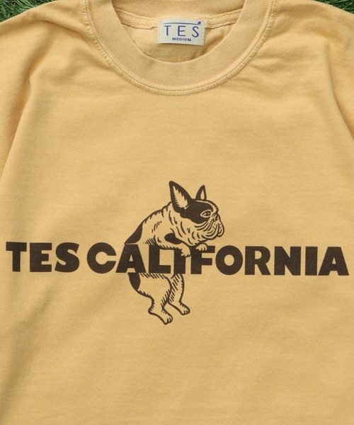 The Endless Summer(エンドレスサマー)の「【WEB / FLAG SHOP限定】TES CALIFORNIA PIGMENT DYE T-SHIRT /ピグメント・半袖T(Tシャツ/カットソー・メンズ・アイボリー/カーキ/スカイブルー/グレー/ブルー/グリーン/オレンジ/マスタード/パープル・SMALL/MEDIUM/LARGE/X-LARGE)」の8枚目の写真