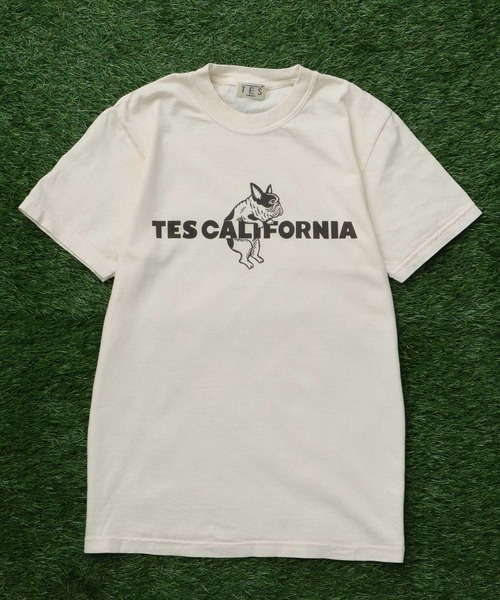 The Endless Summer(エンドレスサマー)の「【WEB / FLAG SHOP限定】TES CALIFORNIA PIGMENT DYE T-SHIRT /ピグメント・半袖T(Tシャツ/カットソー・メンズ・アイボリー/カーキ/スカイブルー/グレー/ブルー/グリーン/オレンジ/マスタード/パープル・SMALL/MEDIUM/LARGE/X-LARGE)」の11枚目の写真