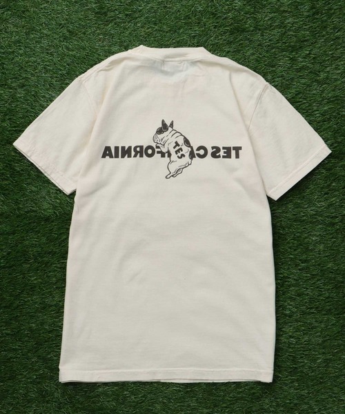 The Endless Summer(エンドレスサマー)の「【WEB / FLAG SHOP限定】TES CALIFORNIA PIGMENT DYE T-SHIRT /ピグメント・半袖T(Tシャツ/カットソー・メンズ・アイボリー/カーキ/スカイブルー/グレー/ブルー/グリーン/オレンジ/マスタード/パープル・SMALL/MEDIUM/LARGE/X-LARGE)」の12枚目の写真