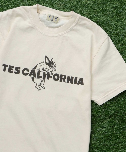 The Endless Summer(エンドレスサマー)の「【WEB / FLAG SHOP限定】TES CALIFORNIA PIGMENT DYE T-SHIRT /ピグメント・半袖T(Tシャツ/カットソー・メンズ・アイボリー/カーキ/スカイブルー/グレー/ブルー/グリーン/オレンジ/マスタード/パープル・SMALL/MEDIUM/LARGE/X-LARGE)」の13枚目の写真