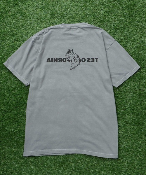 The Endless Summer(エンドレスサマー)の「【WEB / FLAG SHOP限定】TES CALIFORNIA PIGMENT DYE T-SHIRT /ピグメント・半袖T(Tシャツ/カットソー・メンズ・アイボリー/カーキ/スカイブルー/グレー/ブルー/グリーン/オレンジ/マスタード/パープル・SMALL/MEDIUM/LARGE/X-LARGE)」の16枚目の写真