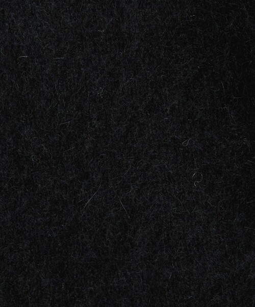 BEAUTY&YOUTH UNITED ARROWS(ビューティーアンドユースユナイテッドアローズ)の「フォックスカシミヤブレンド Vネックニットプルオーバー(ニット/セーター・レディース・ベージュ/ライトグレー/ダークブラウン/ライム/ブラック・FREE)」の11枚目の写真