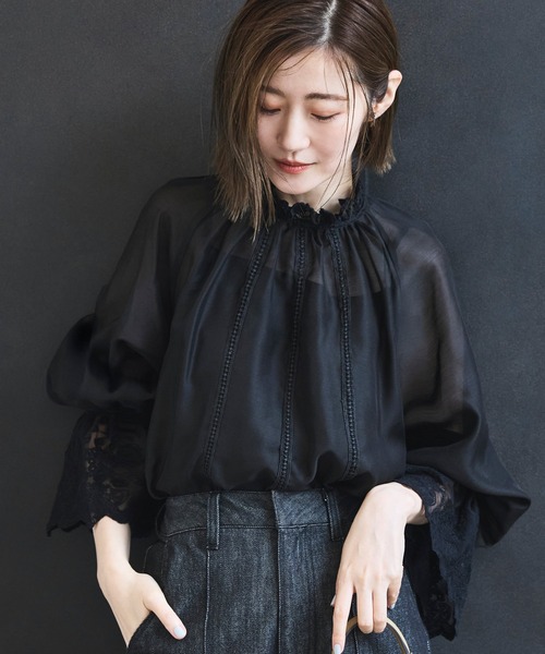 洗える ｜ シアー ボリューム レース ブラウス ｜ 長袖 シアートップス