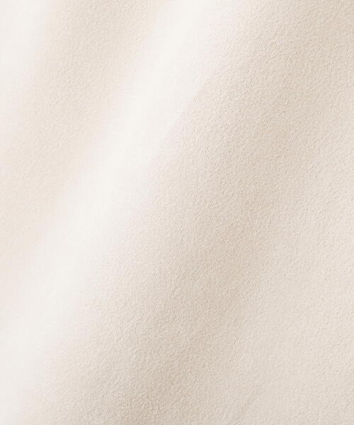 PROPORTION BODY DRESSING(プロポーションボディドレッシング)の「フェイクスエード調ナロースカート / 1215220012(スカート・レディース・ベージュ/ブラウン・SMALL/MEDIUM)」の9枚目の写真