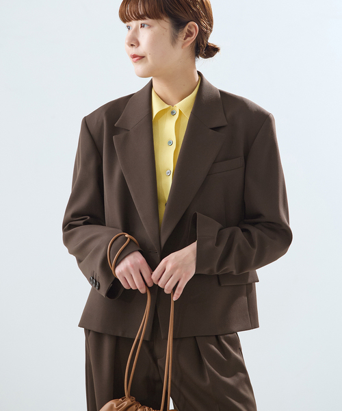 journal standard L'essage（ジャーナルスタンダードレサージュ）の「NALYAストライプ/Doeskinジャケット（テーラードジャケット・レディース・ブラウン/ネイビー・FREE）」の3枚目の写真