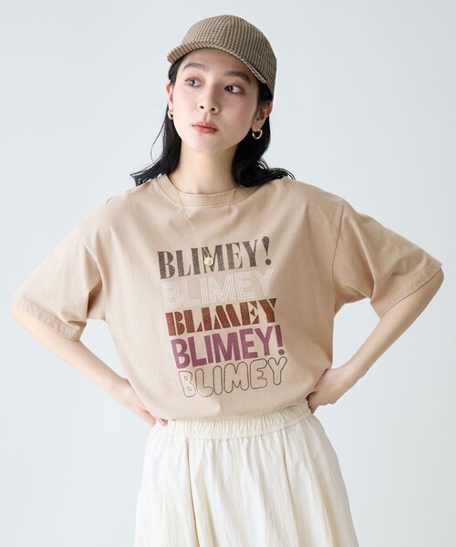 ANY(エニィ)の「ピグメントアソートロゴTシャツ(Tシャツ/カットソー・レディース・グリーン系1/グレー系/アイボリー系1/ベージュ系・F)」の2枚目の写真