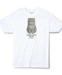 Moftique(モフティック) エントリーモデル 半袖Tシャツ アニマル スコティッシュフォールド 猫 キャット ペット インクジェットプリント 褪せ感 4.0オンス 薄手 トップス カットソー 夏 カジュアル レディース ユニセックス