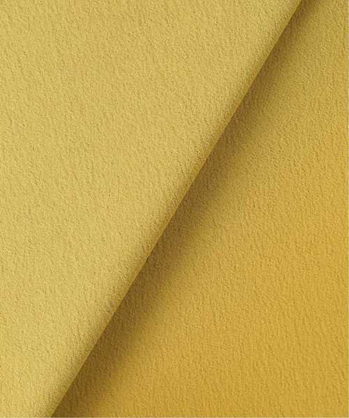 IENA（イエナ）の「キリカエフレアーサテンスカート◆（スカート・レディース・ブラック/ベージュ/グリーン・34/36/38/40）」の19枚目の写真