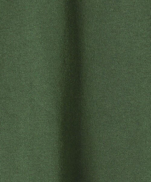 SHIPS(シップス)の「レトロカラーロゴTEE◇(Tシャツ/カットソー・レディース・パープル/オフホワイト/グリーン・ONE SIZE)」の12枚目の写真