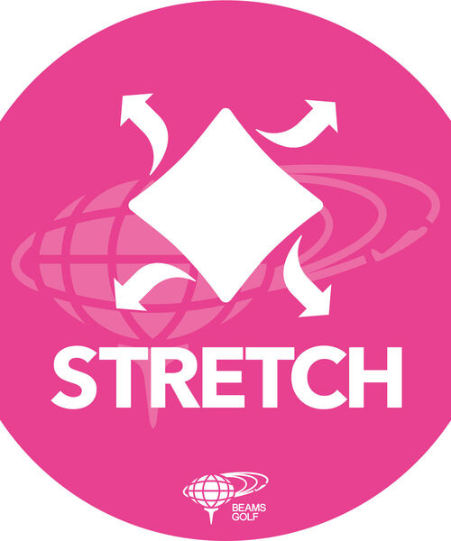 BEAMS GOLF（ビームスゴルフ）の「BEAMS GOLF / マルチロゴ ポンチ