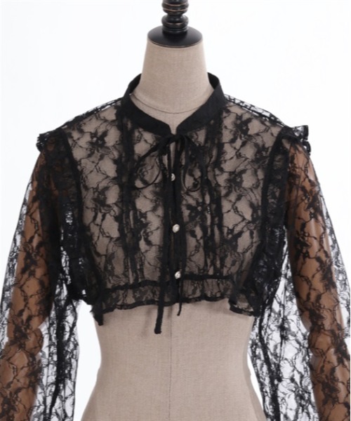 axes femme POETIQUE（アクシーズファムポエティック）の「シアーレースショートブラウス（シャツ/ブラウス・レディース・サックスブルー/キナリ/ブラック・MEDIUM）」の10枚目の写真