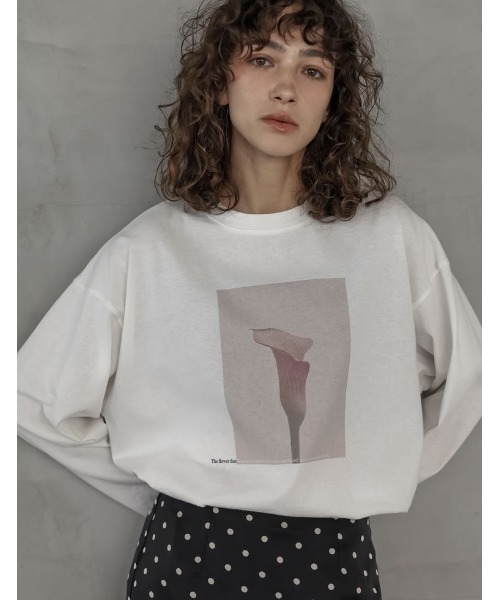 Re:EDIT（リエディ）の「[2025AW COLLECTION]フォトプリントアソート長袖Ｔシャツ（Tシャツ/カットソー・レディース・A/C/D/B・FREE）」の3枚目の写真