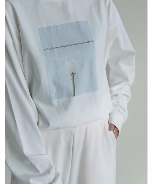 Re:EDIT（リエディ）の「[2025AW COLLECTION]フォトプリントアソート長袖Ｔシャツ（Tシャツ/カットソー・レディース・A/C/D/B・FREE）」の12枚目の写真