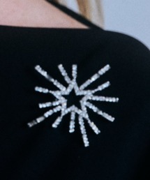 IRIS47 | 【IRIS 47】 meteor shower brooch/メテオ シャワー ブローチ(ブローチ/コサージュ)