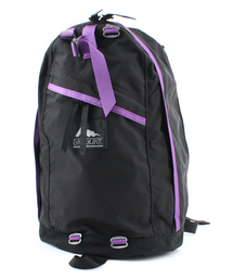 BEAMS | GREGORY / デイパック(バックパック/リュック)