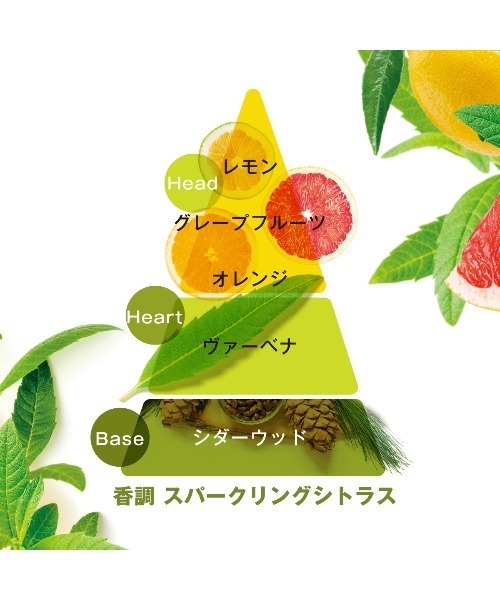 L'OCCITANE（ロクシタン）の「ヴァーベナ ZOZO限定キット（ボディケアキット/ギフトセット・レディース・その他・FREE）」の9枚目の写真