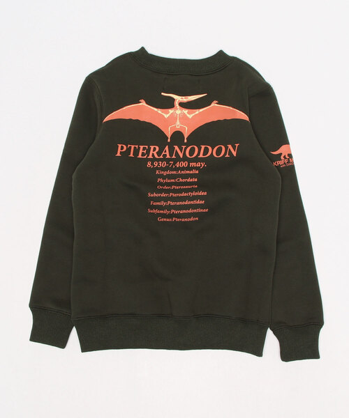 KRIFF MAYER Kid's Collection（クリフメイヤーキッズコレクション）の「光る白亜スウェット(プテラ)（スウェット・キッズ・ネイビー/カーキ/グレー・120/140/160/130/150/170）」の4枚目の写真