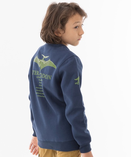 KRIFF MAYER Kid's Collection（クリフメイヤーキッズコレクション）の「光る白亜スウェット(プテラ)（スウェット・キッズ・ネイビー/カーキ/グレー・120/140/160/130/150/170）」の3枚目の写真