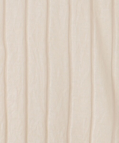 green label relaxing（グリーンレーベルリラクシング）の「シアー ワイドテレコ プルオーバー カットソー（Tシャツ/カットソー・レディース・ナチュラル/ブラック/レッド・FREE）」の18枚目の写真