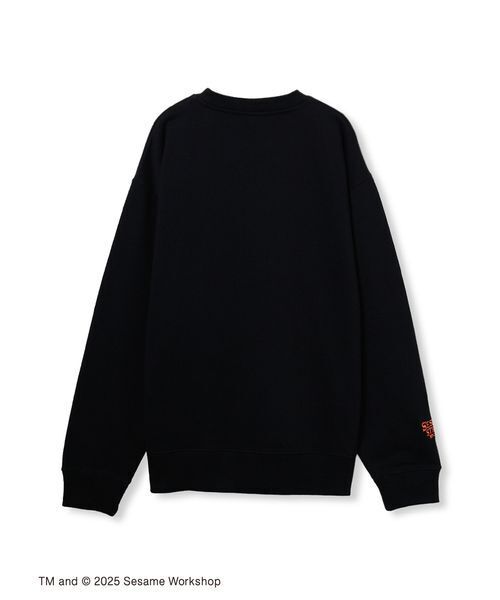 SESAME STREET(セサミストリート)の「【BOO! FRIENDS】【UNISEX】グランジ加工 キャラクター プルオーバー(スウェット・レディース・ブルー/レッド/パープル・M/L)」の6枚目の写真
