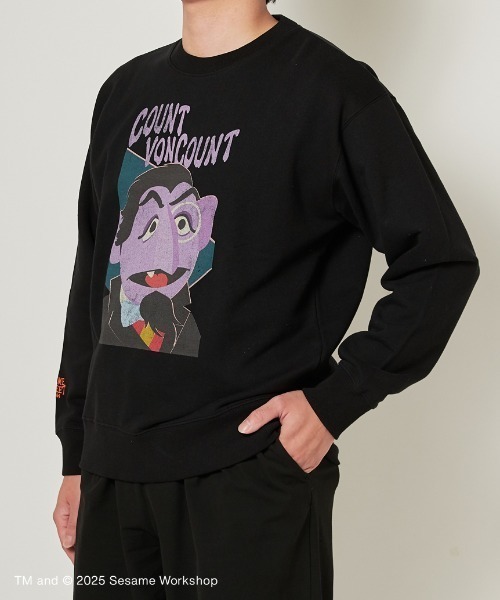 SESAME STREET(セサミストリート)の「【BOO! FRIENDS】【UNISEX】グランジ加工 キャラクター プルオーバー(スウェット・レディース・ブルー/レッド/パープル・M/L)」の4枚目の写真