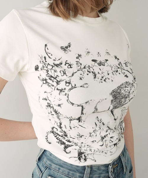 c.u.l(シーユーエル)の「ライオン 手描き風プリント Tシャツ カットソー culw894(Tシャツ/カットソー・レディース・ホワイト・S/M)」の7枚目の写真
