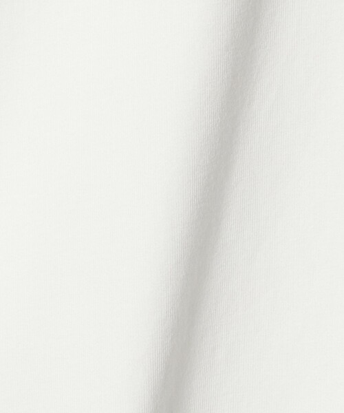 A DAY IN THE LIFE UNITED ARROWS(アデイインザライフユナイテッドアローズ)の「USAコットン天竺 クルーネックTシャツ <A DAY IN THE LIFE>(Tシャツ/カットソー・レディース・オフホワイト/ライラック/ブラック/ライム・FREE)」の15枚目の写真