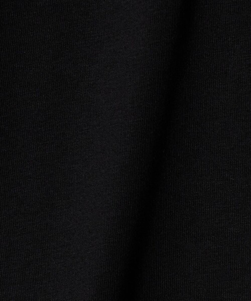 A DAY IN THE LIFE UNITED ARROWS(アデイインザライフユナイテッドアローズ)の「USAコットン天竺 クルーネックTシャツ <A DAY IN THE LIFE>(Tシャツ/カットソー・レディース・オフホワイト/ライラック/ブラック/ライム・FREE)」の13枚目の写真