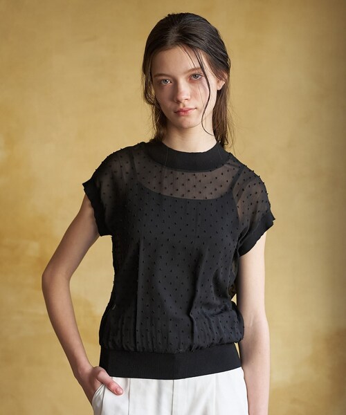 DRESSTERIOR(ドレステリア)の「【再入荷/ウォッシャブル】ドットジャカード プルオーバー(シャツ/ブラウス・レディース・ライトベージュ/ブラック・36/38)」の13枚目の写真
