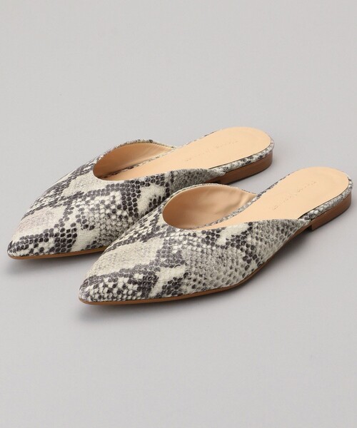 トゲナベブタムシ 6匹