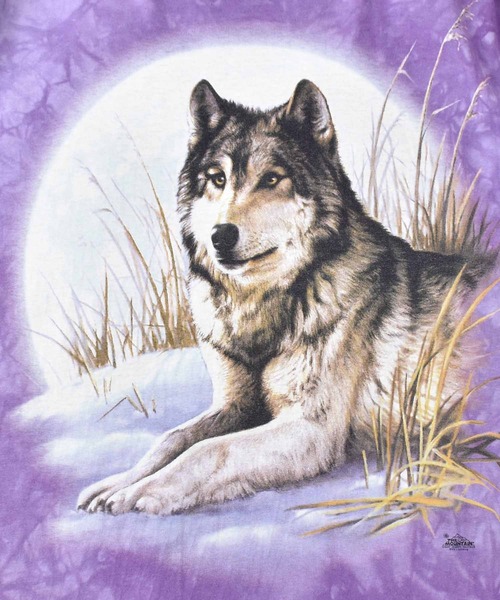 THE MOUNTAIN（ザマウンテン）の「【ヴィンテージ古着】Y2K THE