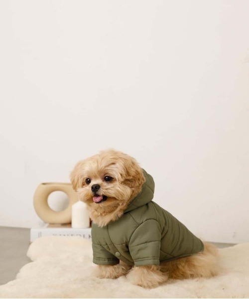 moncheri（モンシェリ）の「フード付パフジャケット / 犬服 / ドッグウェア（ペットウェア・レディース・カーキ/ベージュ・S/M/L/XL）」の11枚目の写真