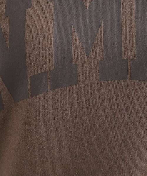 SHOO・LA・RUE（シューラルー）の「◆【洗える/S-LL】プリントラグランスウェット（スウェット・レディース・ダークグレー/グレー/オフホワイト/ブラウン系・01/02/03/04）」の16枚目の写真