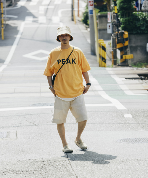 wind and sea snow peak ショルダーバッグサコッシュ【定価】 別注』Snow Peak Apparel×DOORS Everyday Use Sacoche